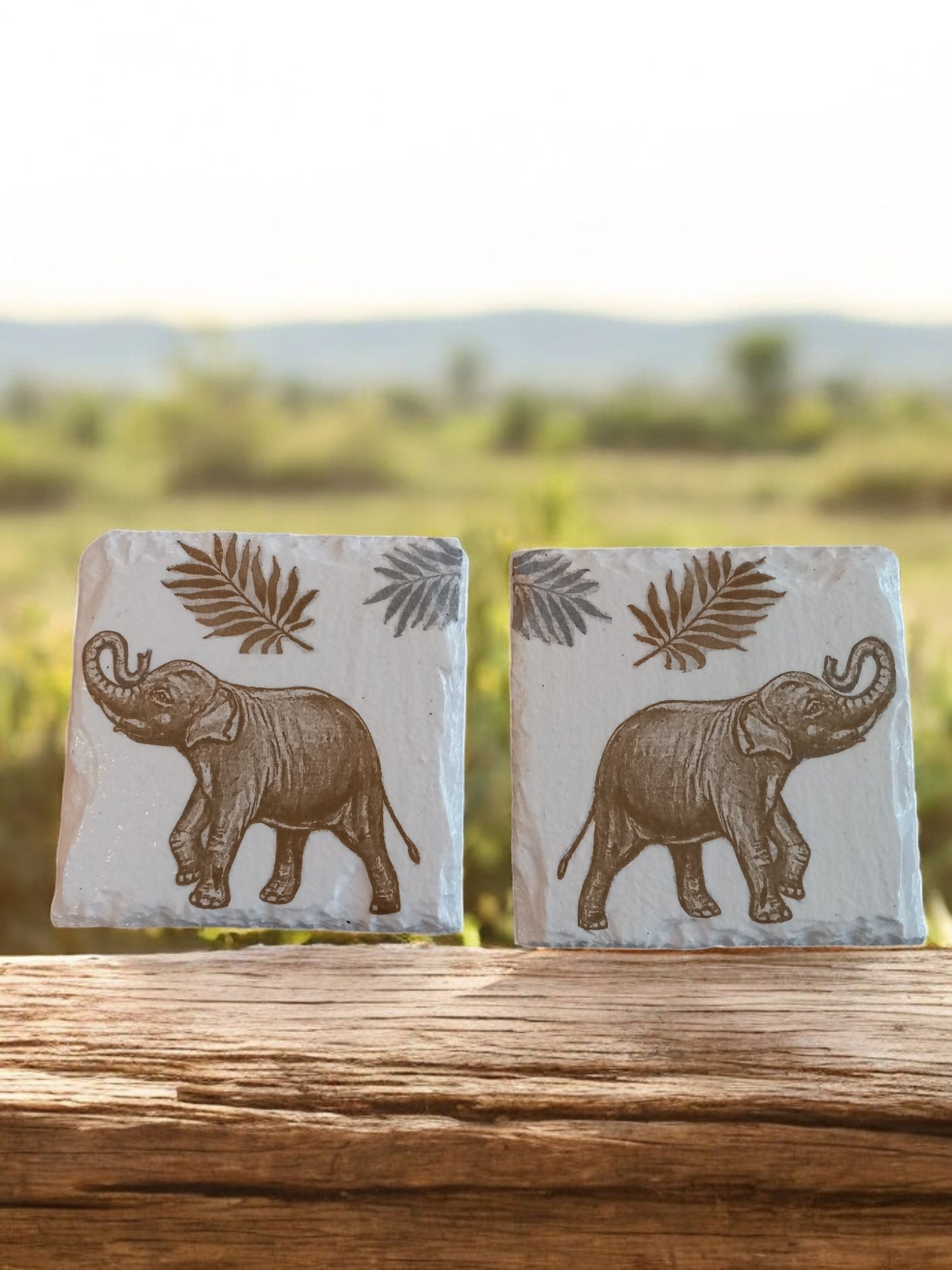 Slate Elephant Coasters