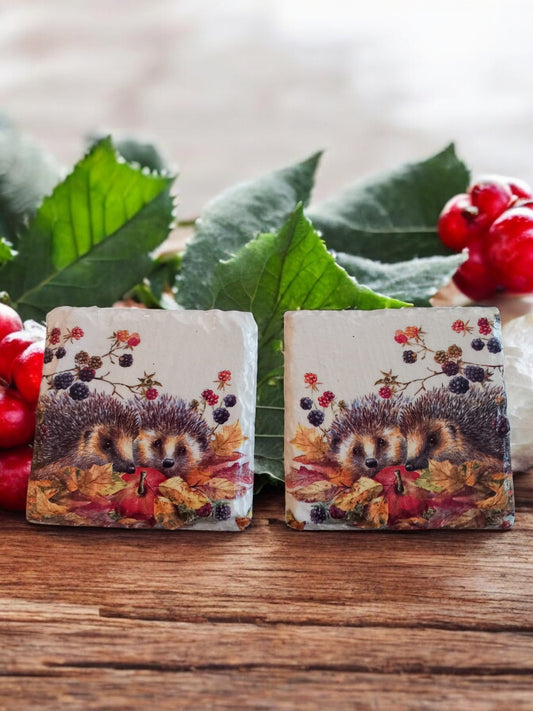 Slate Autumn Hedgehog Coasters