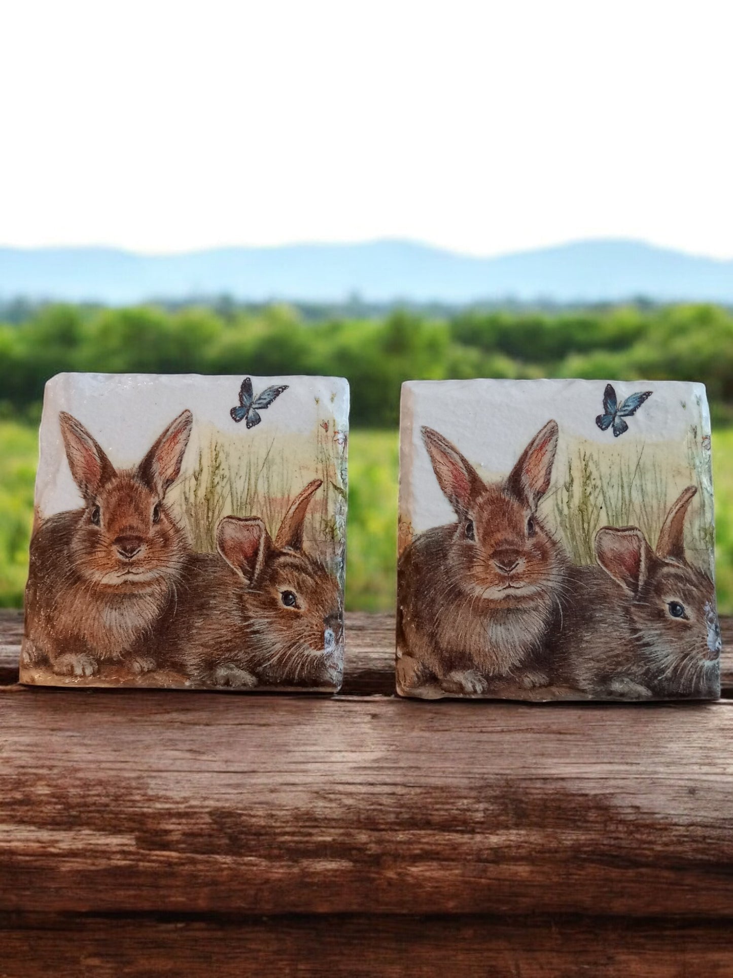 Slate Rabbit Coasters